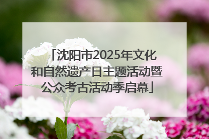 沈阳市2025年文化和自然遗产日主题活动暨公众考古活动季启幕