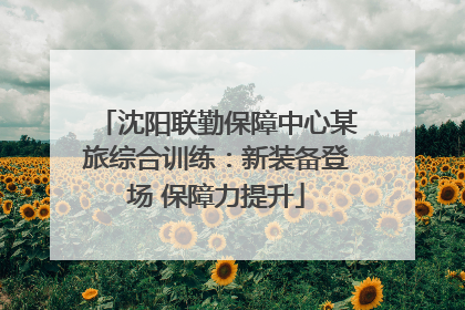 沈阳联勤保障中心某旅综合训练：新装备登场 保障力提升