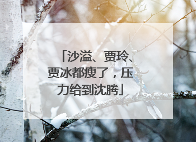 沙溢、贾玲、贾冰都瘦了，压力给到沈腾