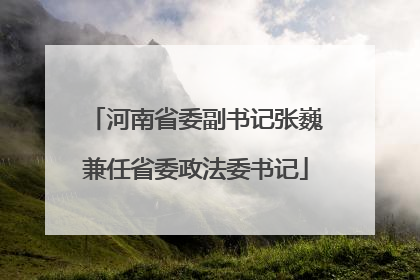 河南省委副书记张巍兼任省委政法委书记