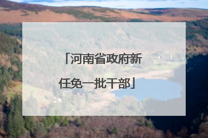 河南省政府新任免一批干部