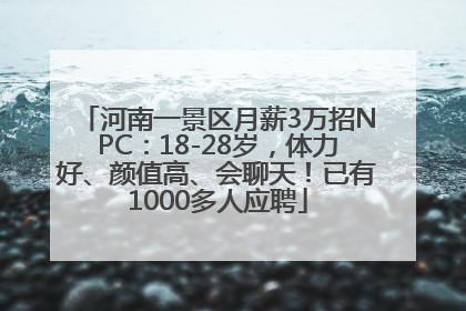 河南一景区月薪3万招NPC：18-28岁，体力好、颜值高、会聊天！已有1000多人应聘