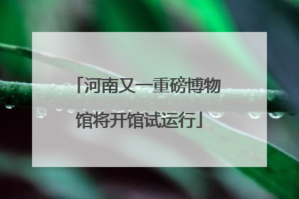 河南又一重磅博物馆将开馆试运行