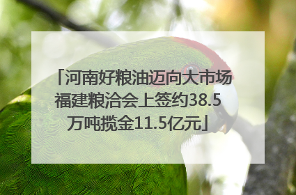 河南好粮油迈向大市场 福建粮洽会上签约38.5万吨揽金11.5亿元