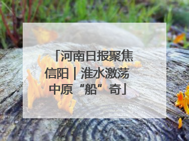 河南日报聚焦信阳｜淮水激荡中原“船”奇