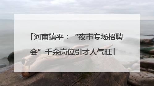 河南镇平：“夜市专场招聘会”千余岗位引才人气旺