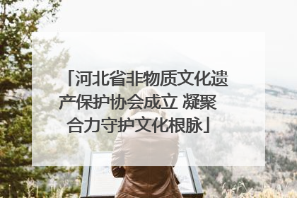 河北省非物质文化遗产保护协会成立 凝聚合力守护文化根脉