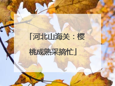 河北山海关：樱桃成熟采摘忙