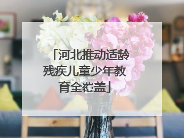 河北推动适龄残疾儿童少年教育全覆盖