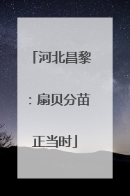 河北昌黎：扇贝分苗正当时