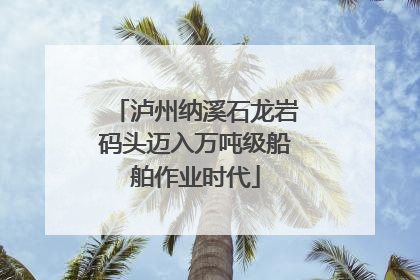 泸州纳溪石龙岩码头迈入万吨级船舶作业时代