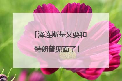 泽连斯基又要和特朗普见面了