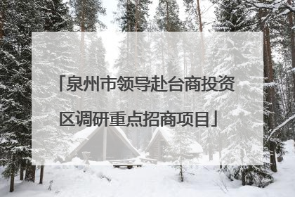 泉州市领导赴台商投资区调研重点招商项目