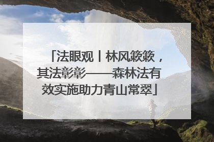 法眼观丨林风簌簌，其法彰彰——森林法有效实施助力青山常翠