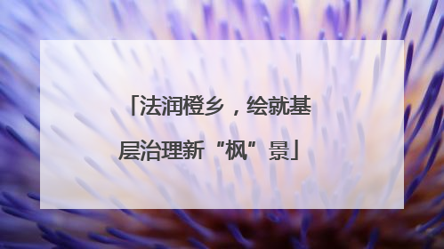法润橙乡，绘就基层治理新“枫”景