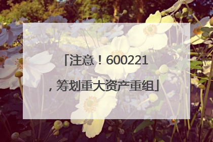 注意！600221，筹划重大资产重组