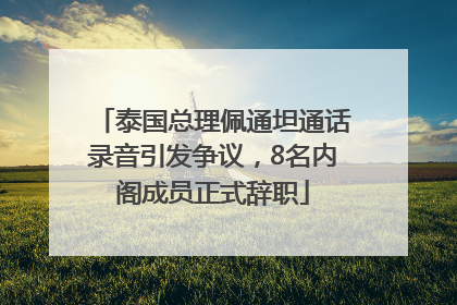 泰国总理佩通坦通话录音引发争议，8名内阁成员正式辞职