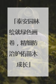 泰安园林绘就绿色画卷，精细防治护佑苗木成长