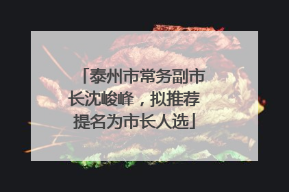 泰州市常务副市长沈峻峰，拟推荐提名为市长人选
