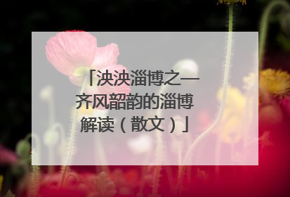 泱泱淄博之—齐风韶韵的淄博解读（散文）