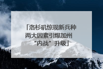 洛杉矶惊现新兵种 两大因素引爆加州“内战”升级