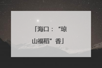 海口：“琼山福稻”香