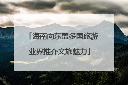 海南向东盟多国旅游业界推介文旅魅力