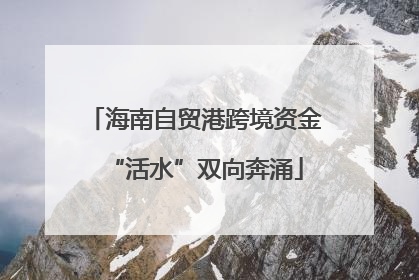 海南自贸港跨境资金“活水”双向奔涌