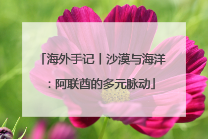 海外手记丨沙漠与海洋：阿联酋的多元脉动