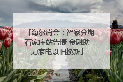 海尔消金：智家分期石家庄站告捷 金融助力家电以旧换新
