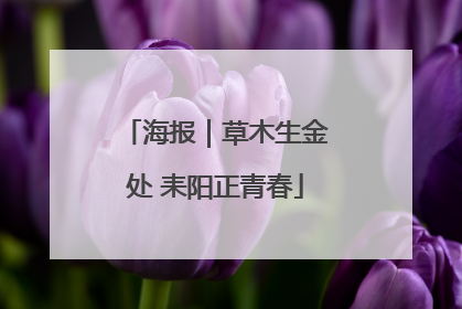 海报｜草木生金处 耒阳正青春