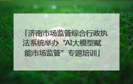 济南市场监管综合行政执法系统举办“AI大模型赋能市场监管”专题培训
