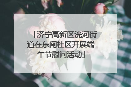 济宁高新区洸河街道在东闸社区开展端午节慰问活动