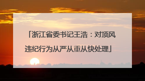 浙江省委书记王浩：对顶风违纪行为从严从重从快处理