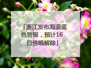 浙江发布海浪蓝色警报，预计16日傍晚解除