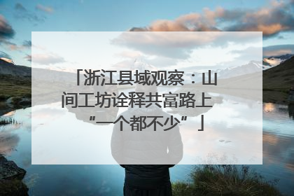 浙江县域观察：山间工坊诠释共富路上“一个都不少”