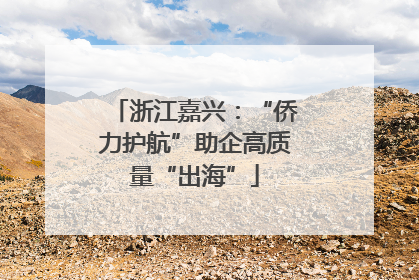 浙江嘉兴：“侨力护航”助企高质量“出海”