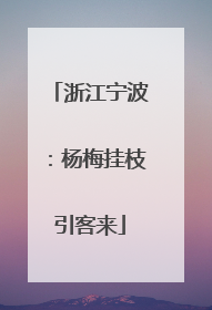 浙江宁波：杨梅挂枝引客来