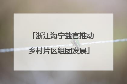 浙江海宁盐官推动乡村片区组团发展