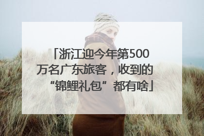 浙江迎今年第500万名广东旅客，收到的“锦鲤礼包”都有啥