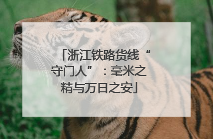 浙江铁路货线“守门人”：毫米之精与万日之安