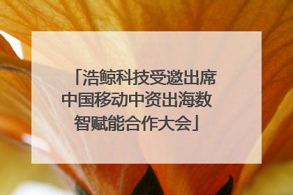 浩鲸科技受邀出席中国移动中资出海数智赋能合作大会
