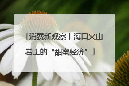 消费新观察丨海口火山岩上的“甜蜜经济”