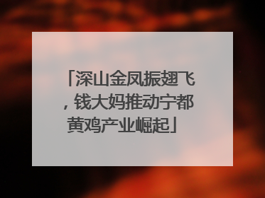 深山金凤振翅飞，钱大妈推动宁都黄鸡产业崛起