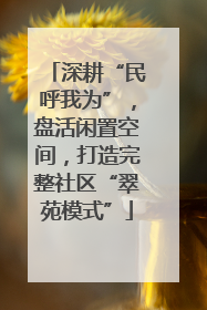 深耕“民呼我为”，盘活闲置空间，打造完整社区“翠苑模式”