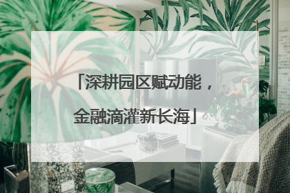 深耕园区赋动能，金融滴灌新长海