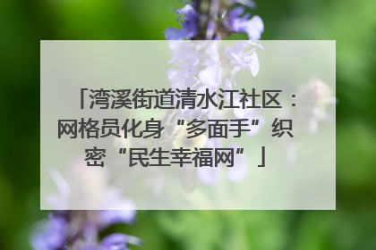 湾溪街道清水江社区：网格员化身“多面手”织密“民生幸福网”