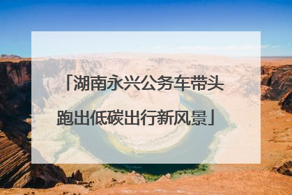 湖南永兴公务车带头跑出低碳出行新风景