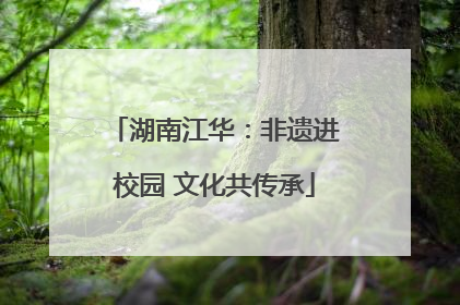 湖南江华：非遗进校园 文化共传承