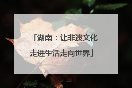 湖南：让非遗文化走进生活走向世界